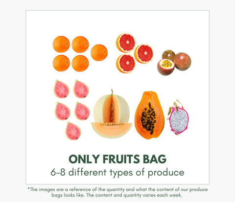 Only Fruits (Medium)